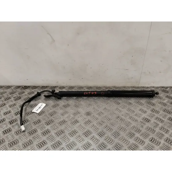 Amortiguadores Maletero / Porton para Toyota Rav 4 V (_A5_, _H5_)