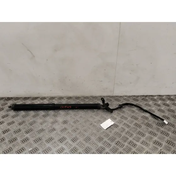 Amortiguadores Maletero / Porton para Toyota Rav 4 V (_A5_, _H5_)