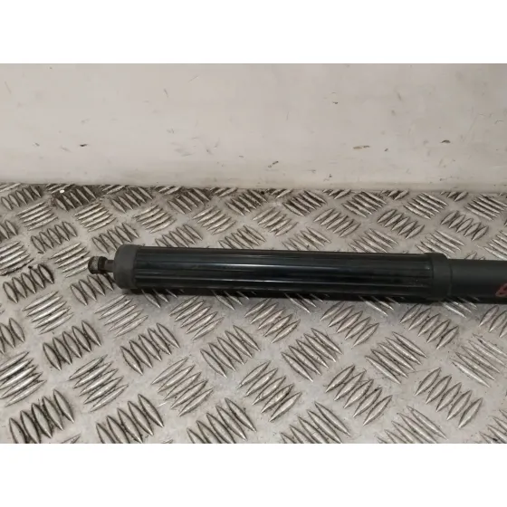 Amortiguadores Maletero / Porton para Toyota Rav 4 V (_A5_, _H5_)