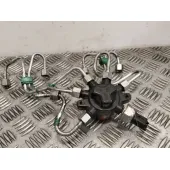 Rampa Inyectora para Renault Kangoo Express (Fc0/1_)