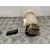 Aforador para Seat Leon (1M1)
