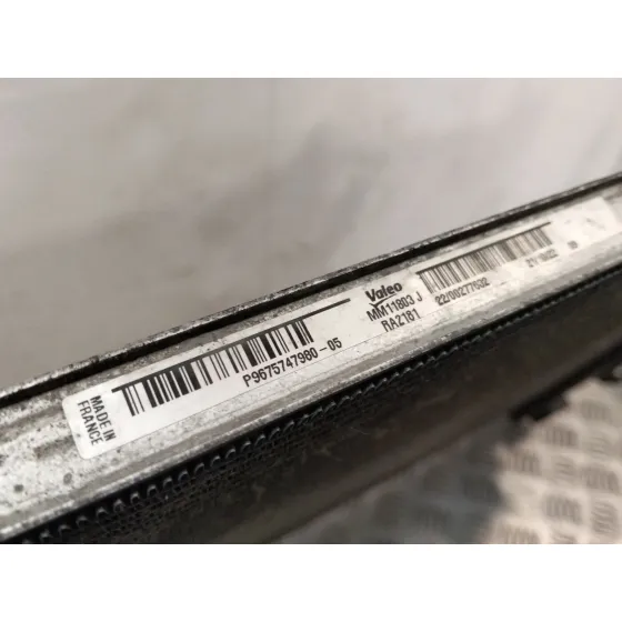 Radiador Agua para Peugeot Expert Caja/Chasis (V_)