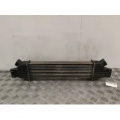 Intercooler para Ssangyong Rodius I