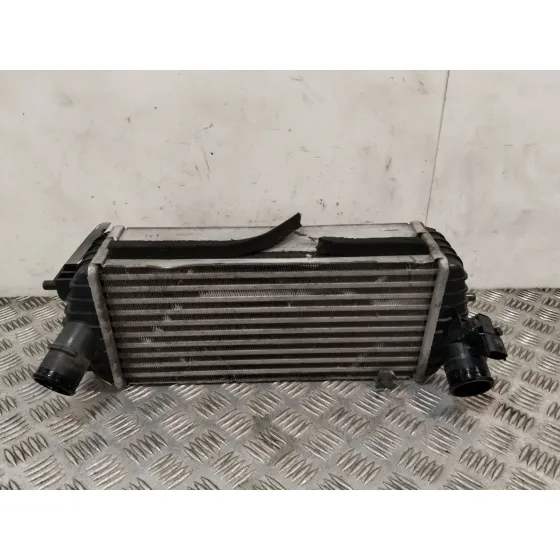 Intercooler para Kia Carens Iv