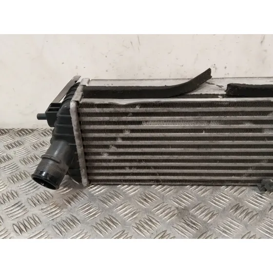 Intercooler para Kia Carens Iv