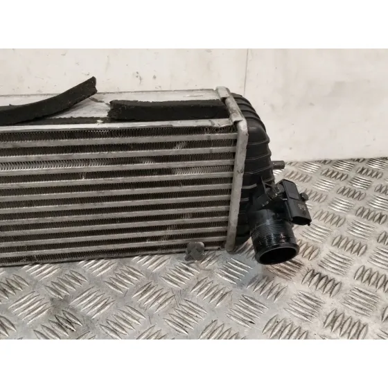Intercooler para Kia Carens Iv