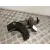 Soporte Motor para Daewoo Kalos (Klas)