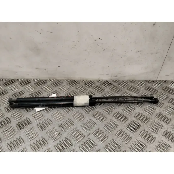 Amortiguadores Maletero / Porton para Fiat 500 (312)