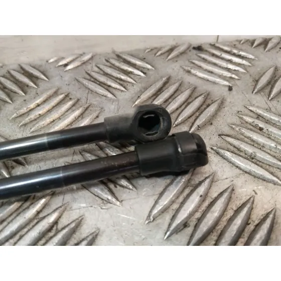 Amortiguadores Maletero / Porton para Fiat 500 (312)