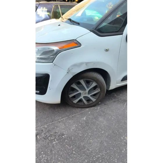 Mangueta Delantera Izquierda para Citroën C3 Picasso (Sh_)