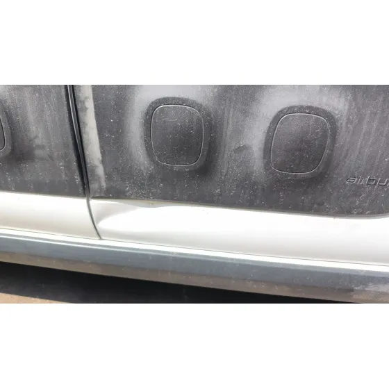 Puerta Trasera Izquierda para Citroën C3 Iii (Sx)