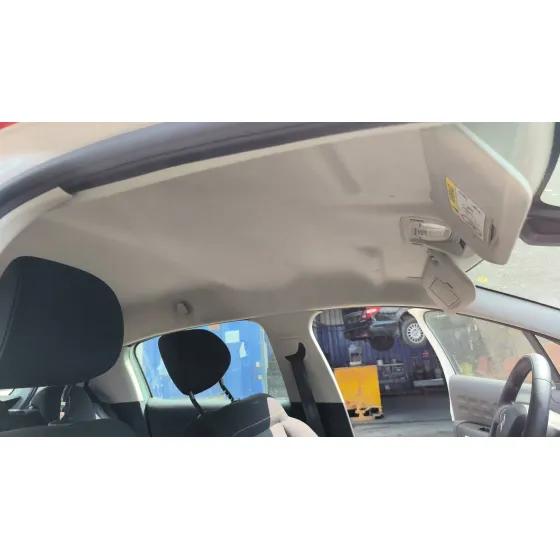 Techo Interior para Citroën C3 Iii (Sx)