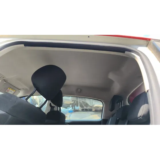Techo Interior para Citroën C3 Iii (Sx)