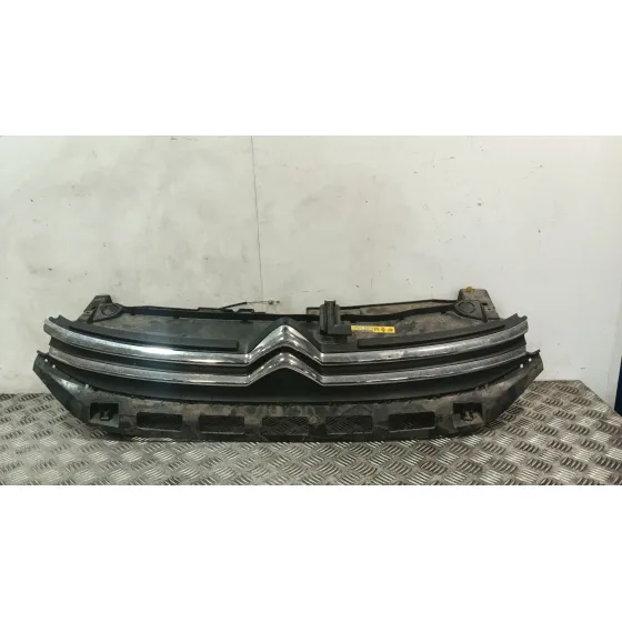 Rejilla Paragolpes Delantero para Citroën C3 Iii (Sx)