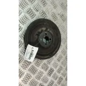 Polea Ciguenal para Opel Insignia A (G09)