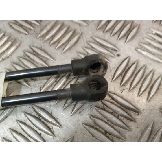 Amortiguadores Maletero / Porton para Renault Clio Iv (Bh_)
