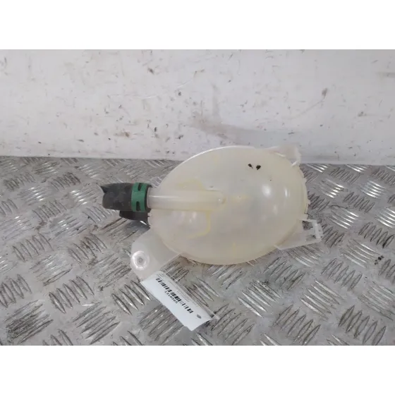 Deposito Expansion para Renault Clio Iv (Bh_)