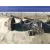 Puente Trasero para Nissan Terrano Ii (R20)