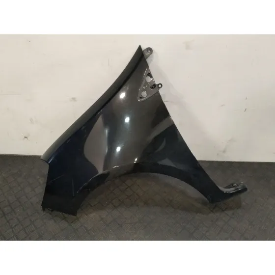 Aleta Delantera Izquierda para Renault Clio Iii (Br0/1, Cr0/1)