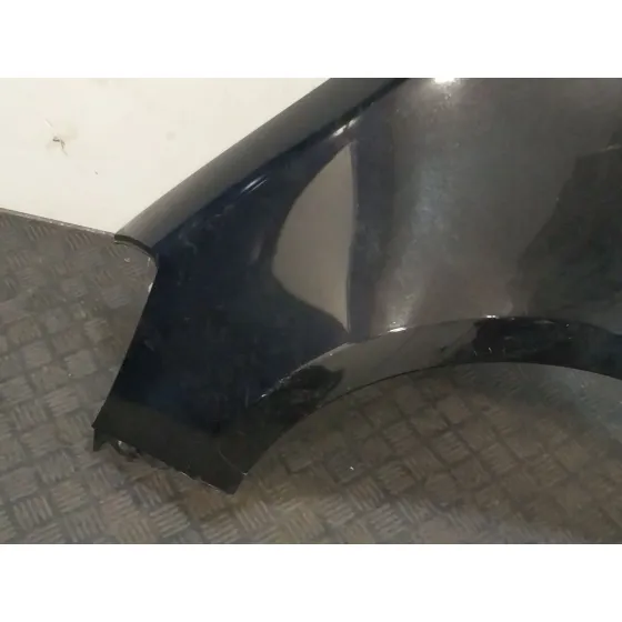 Aleta Delantera Izquierda para Renault Clio Iii (Br0/1, Cr0/1)