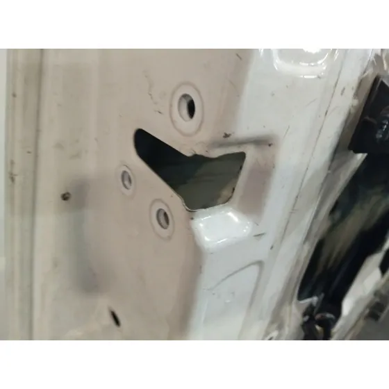 Puerta Delantera Izquierda para Renault Master Iii Furgoneta (Fv)