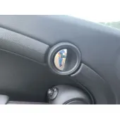 Maneta Interior Delantera Izquierda para Mini Mini (R56)