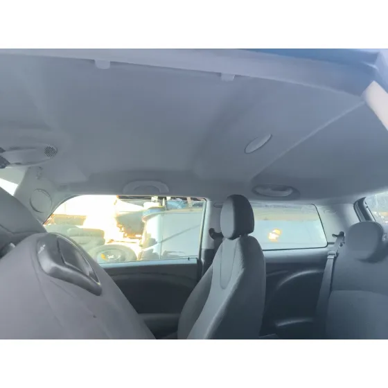 Techo Interior para Mini Mini (R56)