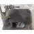 Pinza Freno Delantera Izquierda para Renault Trafic Ii Furgoneta (Fl)