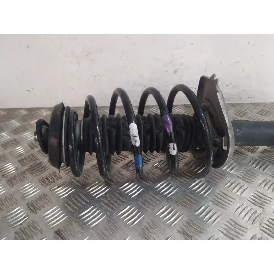 Amortiguador Delantero Izquierdo para Citroën C4 Picasso I Monospace (Ud_)