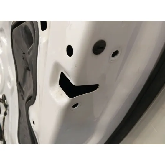 Puerta Trasera Derecha para Volkswagen Polo V (6R1, 6C1)