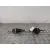 Transmision Delantera Izquierda para Volkswagen Polo V (6R1, 6C1)
