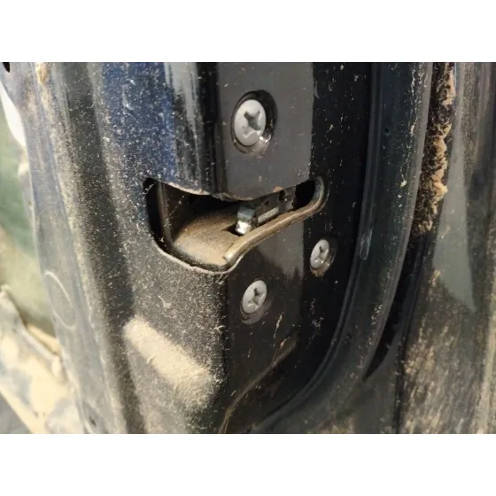 Puerta Delantera Derecha para Nissan Qashqai (J10)