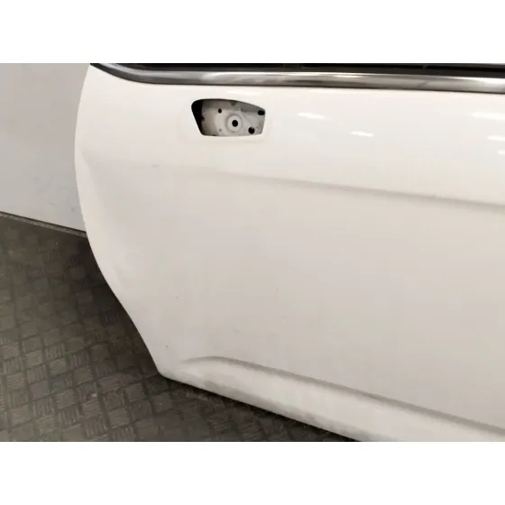 Puerta Delantera Izquierda para Citroën C3