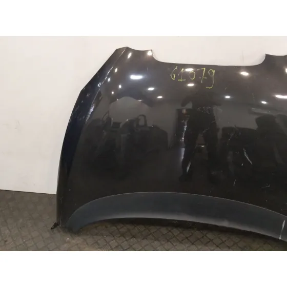 Capot para Seat Altea (5P1)