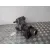 Diferencial Trasero para Suzuki Swift Iii (Mz, Ez)
