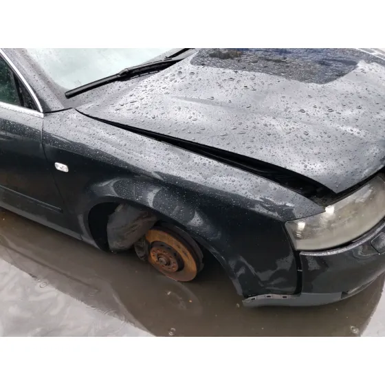 Aleta Delantera Derecha para Audi A4 B6 (8E2)