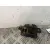 Cerradura Maletero / Porton para Toyota Auris (_E18_)