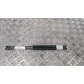 Amortiguadores Maletero / Porton para Fiat Nuova 500 (150)
