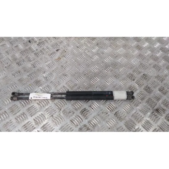 Amortiguadores Maletero / Porton para Fiat Nuova 500 (150)