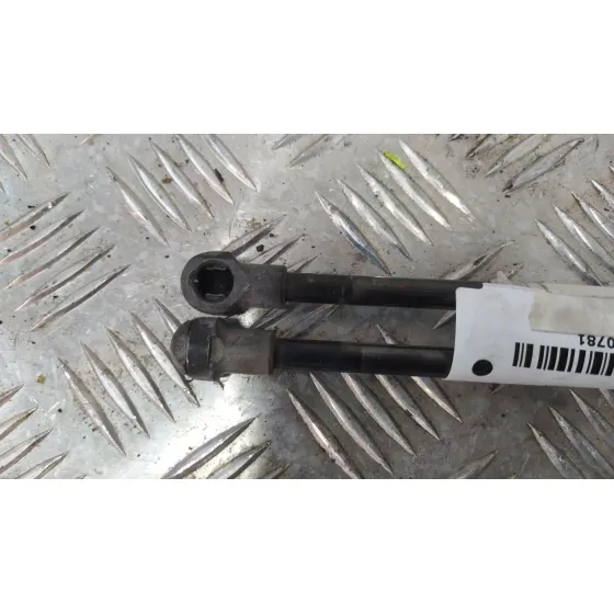 Amortiguadores Maletero / Porton para Fiat Nuova 500 (150)