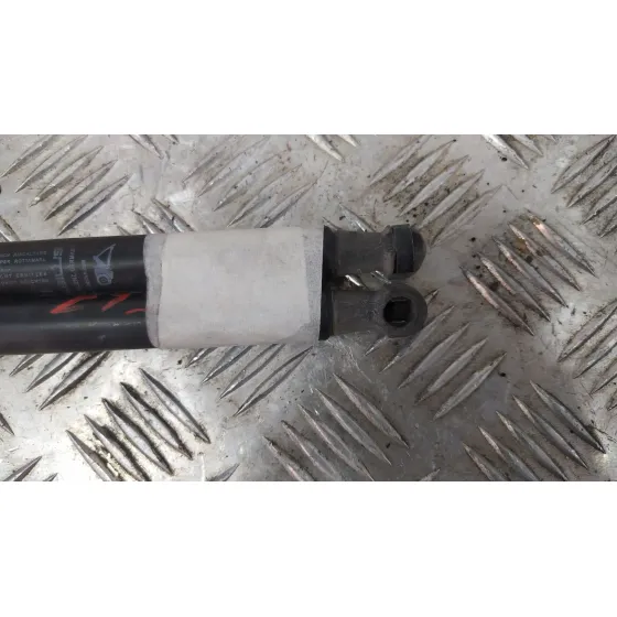 Amortiguadores Maletero / Porton para Fiat Nuova 500 (150)