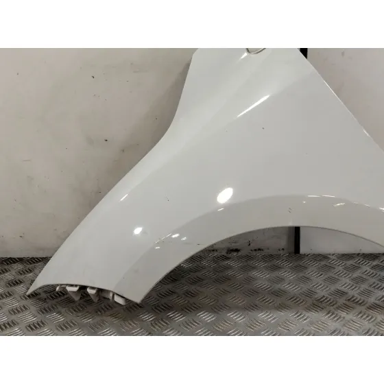 Aleta Delantera Izquierda para Renault Megane Iii Berlina 5 P
