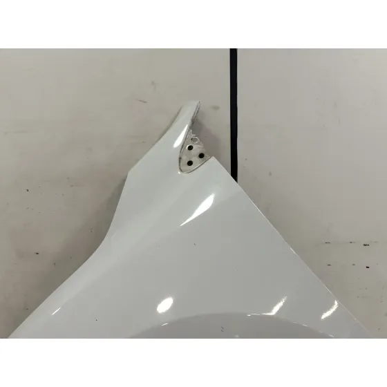 Aleta Delantera Izquierda para Renault Megane Iii Berlina 5 P