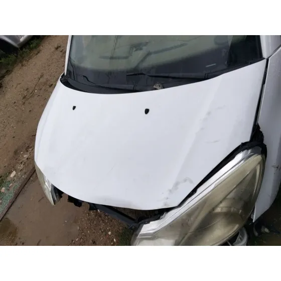 Capot Delantero para Citroën C3 Ii (Sc_)