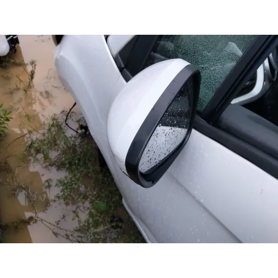 Retrovisor Izquierdo para Citroën C3 Ii (Sc_)