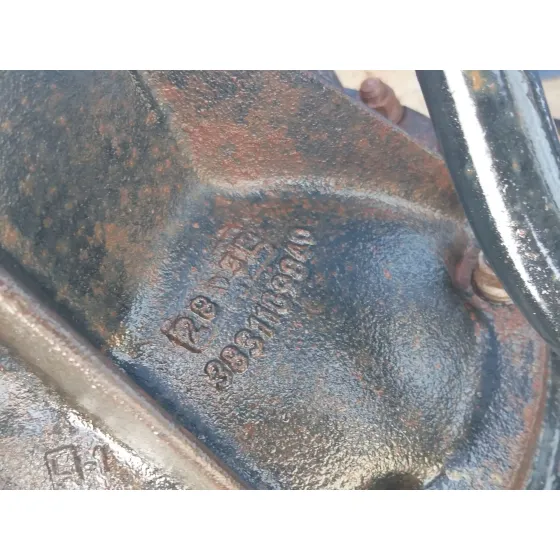 Puente Trasero para Nissan Terrano Ii (R20)