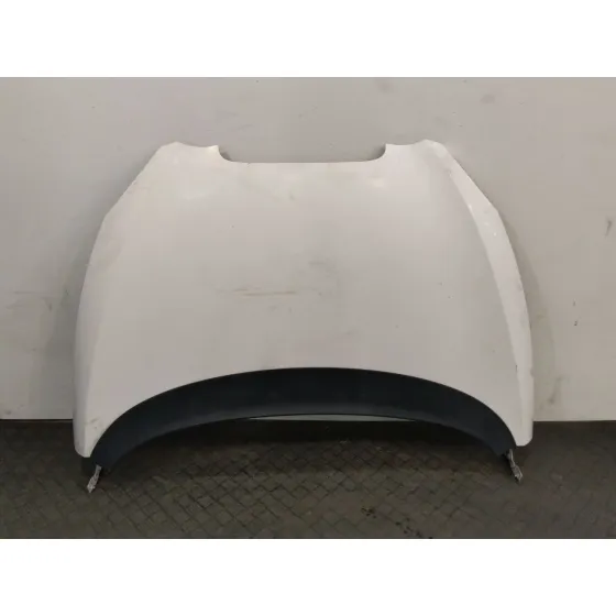 Capot para Seat Altea (5P1)