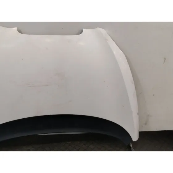 Capot para Seat Altea (5P1)