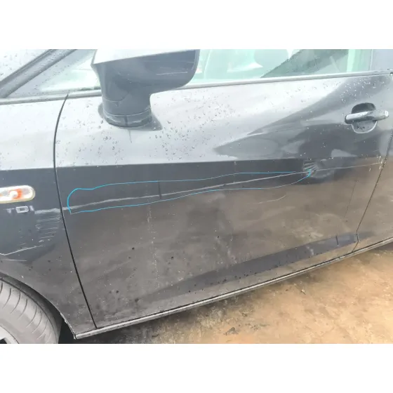 Puerta Delantera Izquierda para Seat Ibiza Iv (6J5, 6P1)