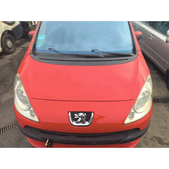 Capot Delantero para Peugeot 1007 (Km_)